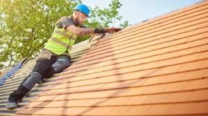 Best Sheet Metal Roofing  in San Ysidro, NM