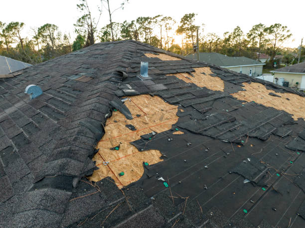 Best Skylight Installation and Repair  in San Ysidro, NM